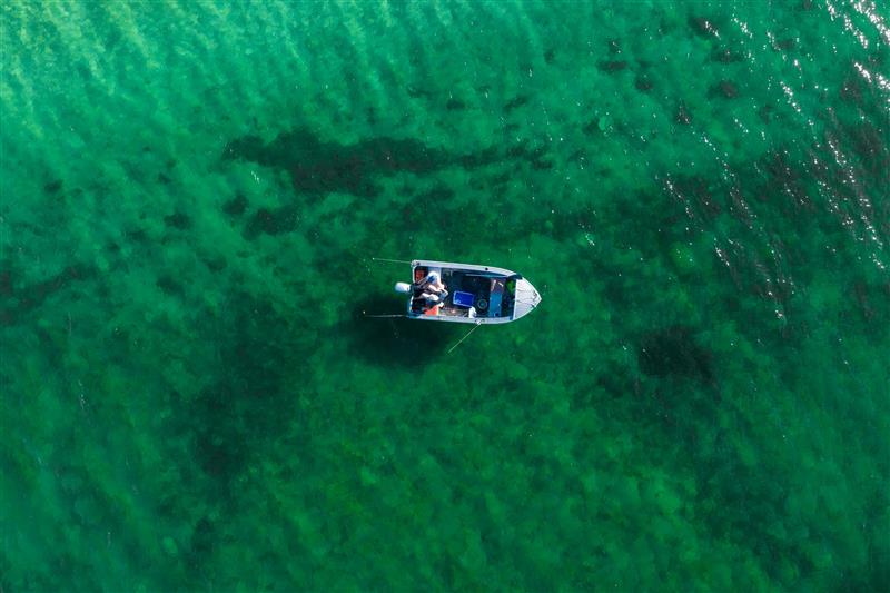 Aerial Black Point Yorke Peninsula coastline with boat